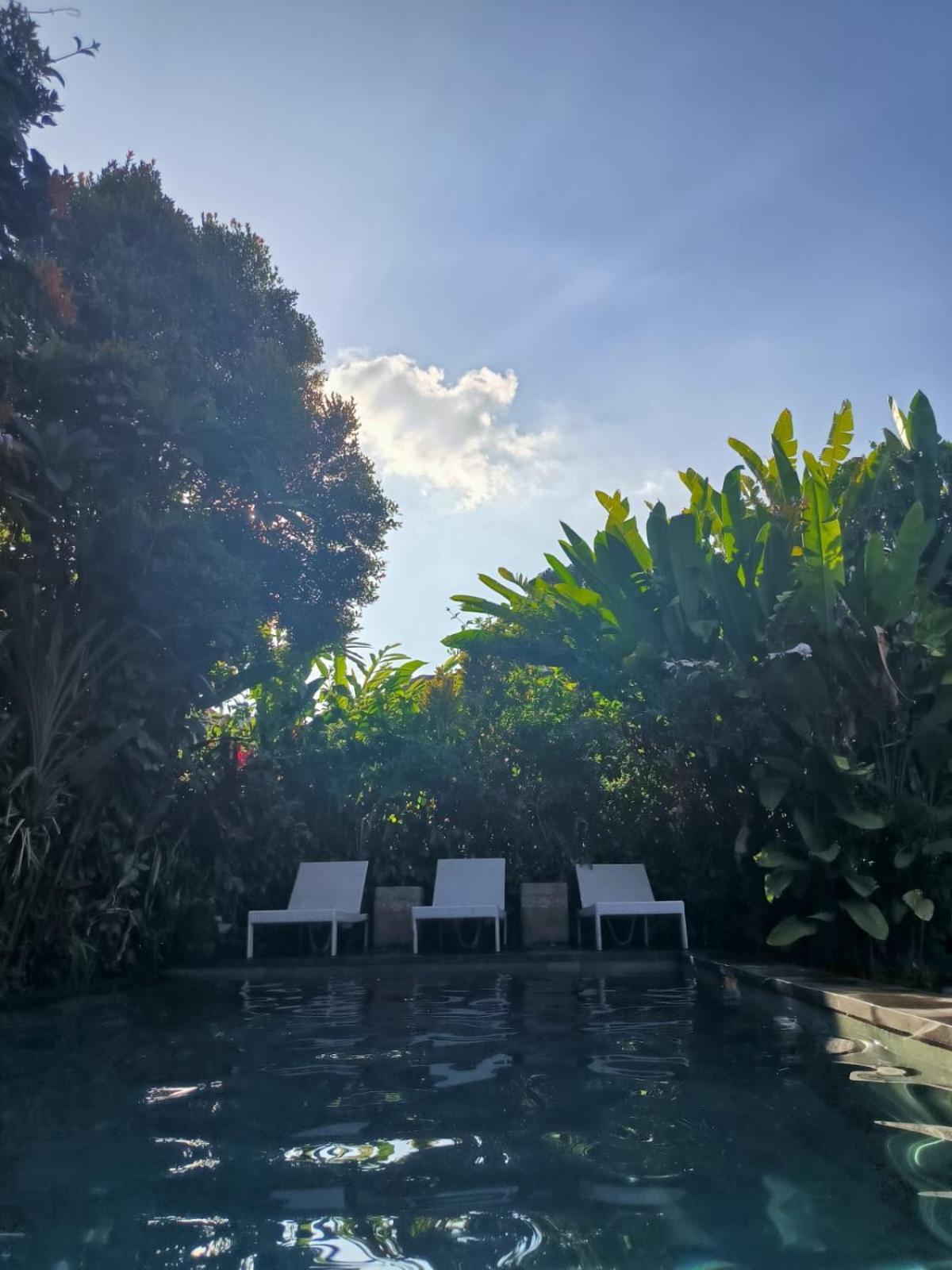 Yoga House Bali Βίλα Ουμπούντ Εξωτερικό φωτογραφία